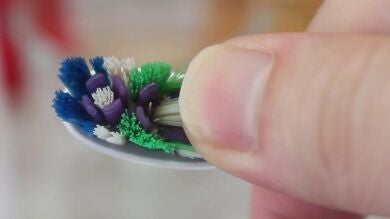 Esta es la prueba de que tu cepillo de dientes tiene restos fecales 