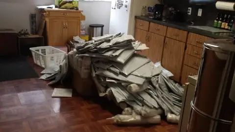 Muestras gratis de alfombras de Amazon Muestras gratis de alfombras de Amazon