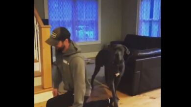 La increíble reacción de este perro cuando trata de imitar a su dueño