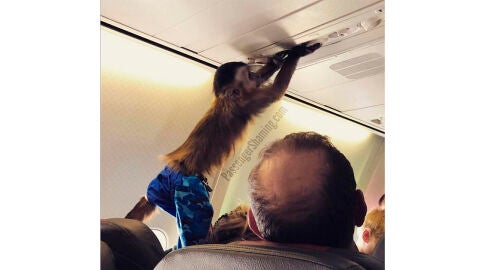 Cosas raras que te encuentras en un avión