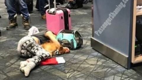 Cosas raras que te encuentras en un avión