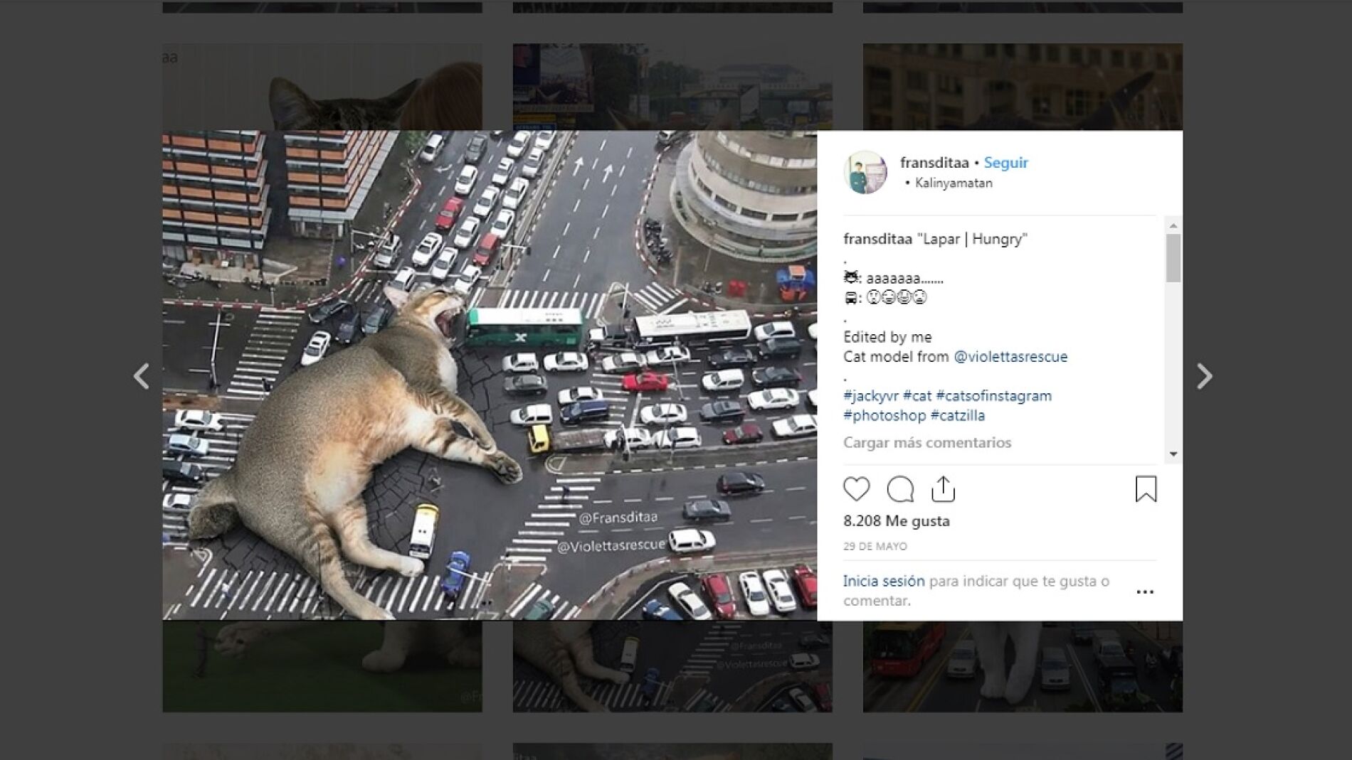 Un gato gigante se come el tr&aacute;fico de la ciudad