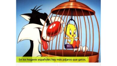 ¿Verdadero o falso? 20 curiosidades sorprendentes que no conocías (parte II)