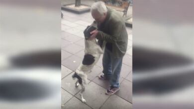 Se reencontró con su dueño tras llevar tres años perdido y las imágenes no pueden ser más tiernas