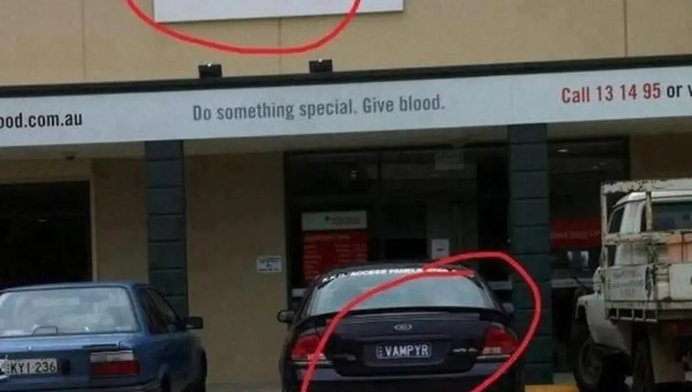 Servicio de sangre