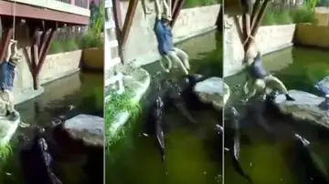 Michael Womer cae a un estanque con caimanes