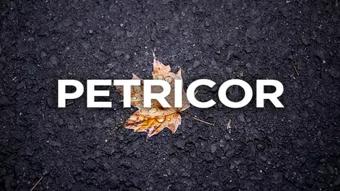 Petricor Petricor