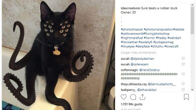 Mandan fotos de sus mascotas a esta instagramer y ella les trolea con photoshop