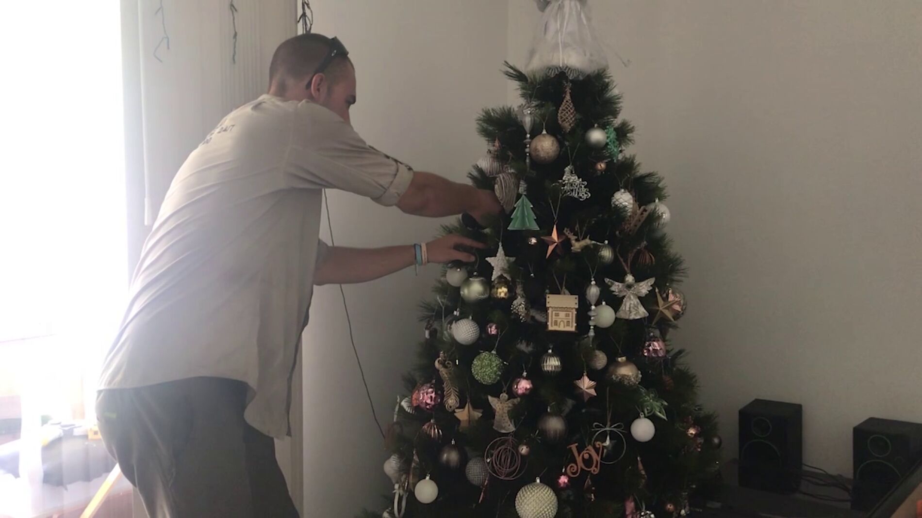 Encuentran una serpiente en el &aacute;rbol de Navidad