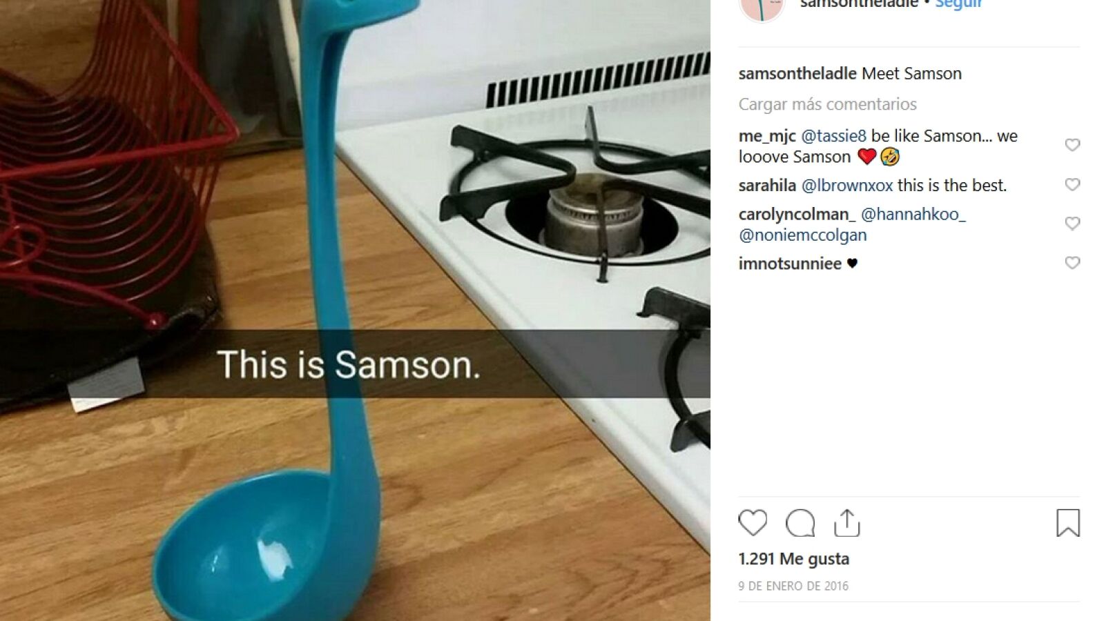 Una mujer crea una cuenta de Instagram para su cucharón de sopa Samson y la gente no puede parar de seguir sus aventuras