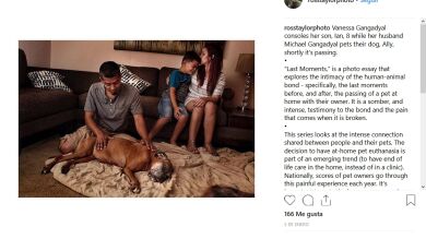 Un fotógrafo captura los emotivos momentos finales entre mascotas y sus dueños
