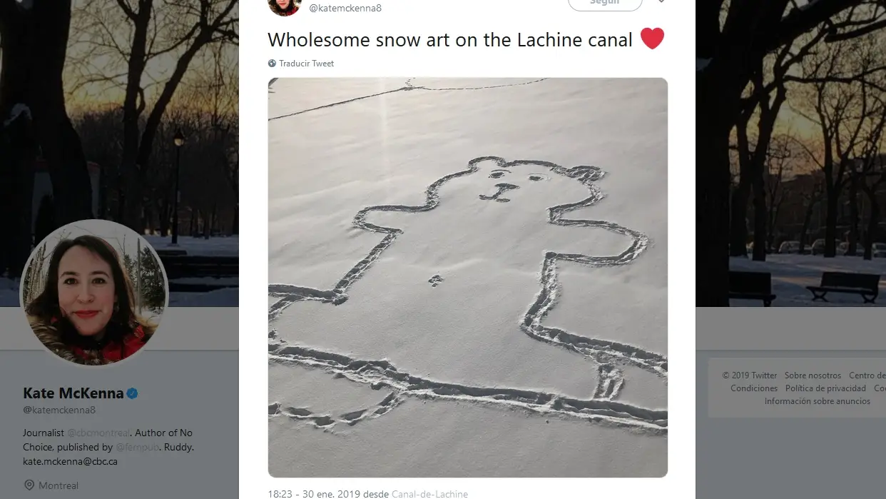 Oso pintado en la nieve