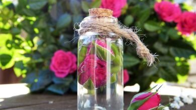 Las siete recetas de homeopatía más raras para el amor