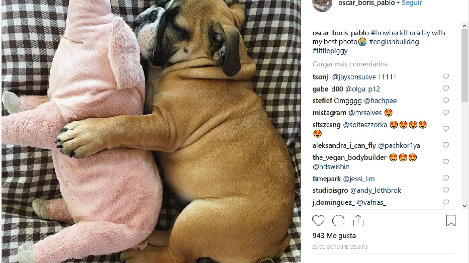 ¿Cuál es su juguete favorito? 8 adorables mascotas que no se separan de sus peluches