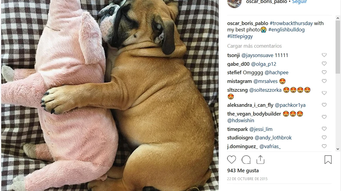 Mascotas y sus juguetes