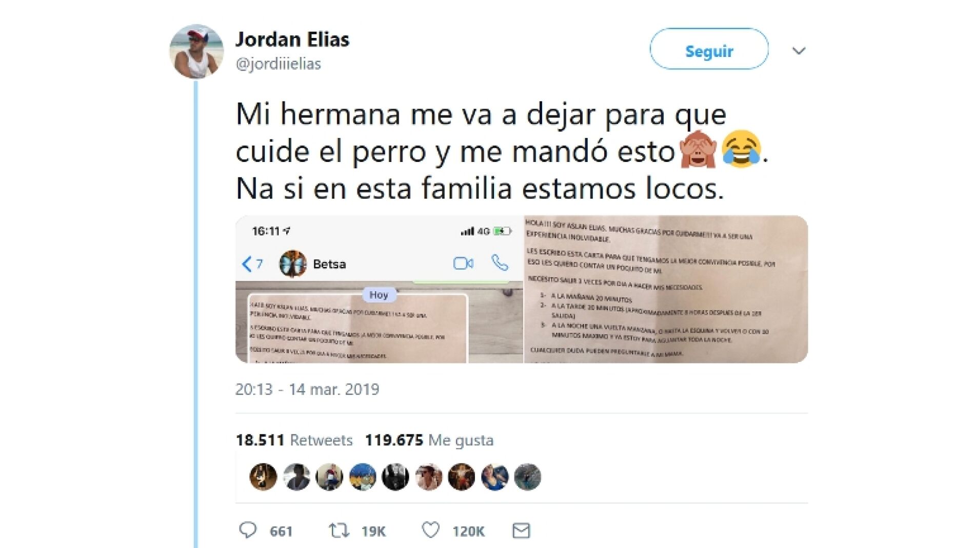 Instrucciones para cuidar a un perro