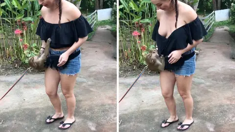 Mono arranca top Mono arranca top