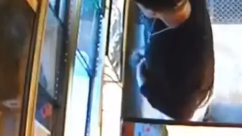 Roba una serpiente Roba una serpiente