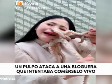 Un pulpo ataca a una youtuber cuando intentaba com&eacute;rselo vivo en directo