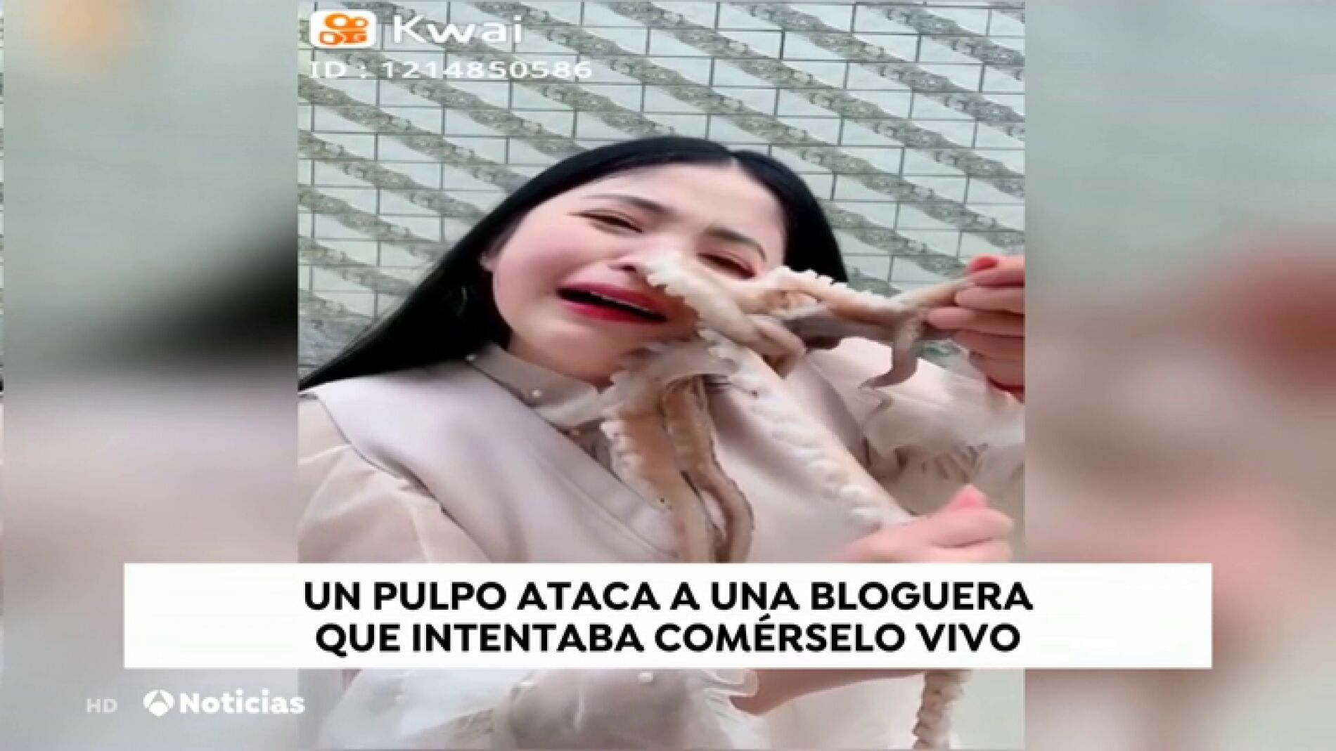 Un pulpo ataca a una youtuber cuando intentaba com&eacute;rselo vivo en directo