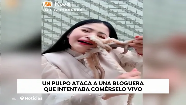 Un pulpo ataca a una youtuber cuando intentaba comérselo vivo en directo