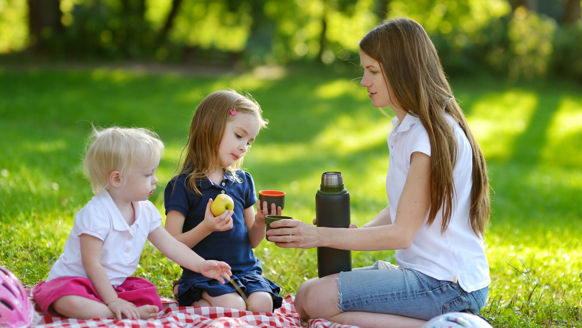 Picnic en familia