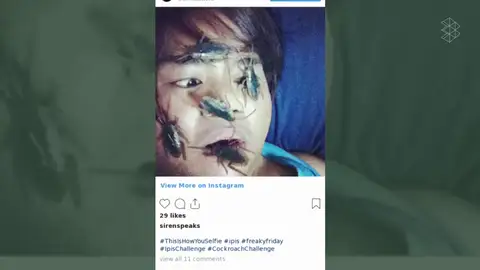 Cockroach challenge: ¿por qué se ha puesto de moda fotografiarse con una cucaracha en la cara? Cockroach challenge: ¿por qué se ha puesto de moda fotografiarse con una cucaracha en la cara?