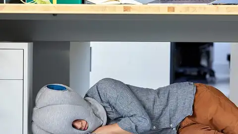 Almohada avestruz Almohada avestruz
