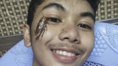 Este adolescente lanzó el Cockroach Challenge: ¿te harías un selfie con una cucaracha?