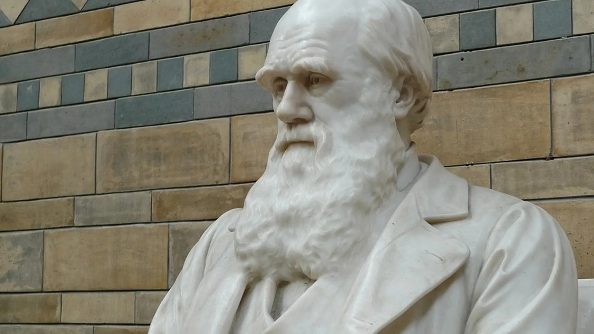 Estatua de Darwin