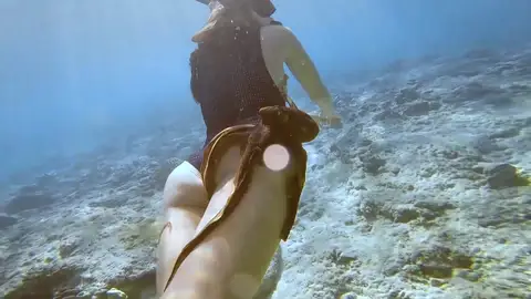 Pulpo enganchado a buceadora Pulpo enganchado a buceadora