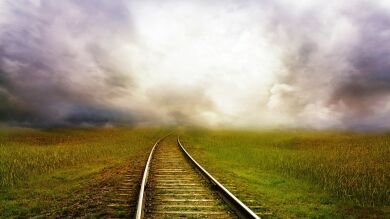 Un maquinista detiene el tren a tiempo para salvar a un perrito que habían abandonado encadenado a la vía