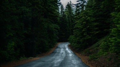 Sale a la luz toda la verdad sobre el Yeti