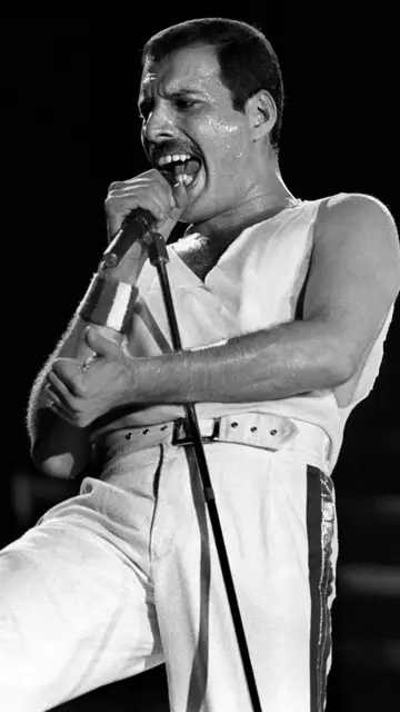 El cantante Freddie Mercury El cantante Freddie Mercury