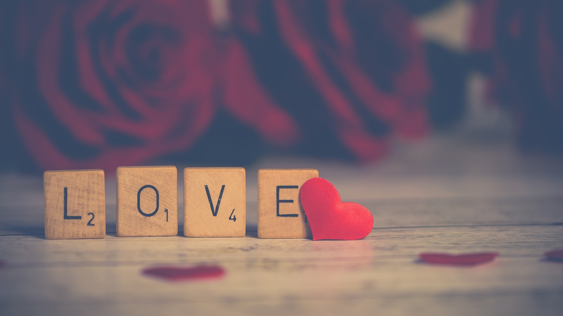 Amor