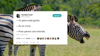 40 absurdos tuits con juegos de palabras para descojonarte de risa