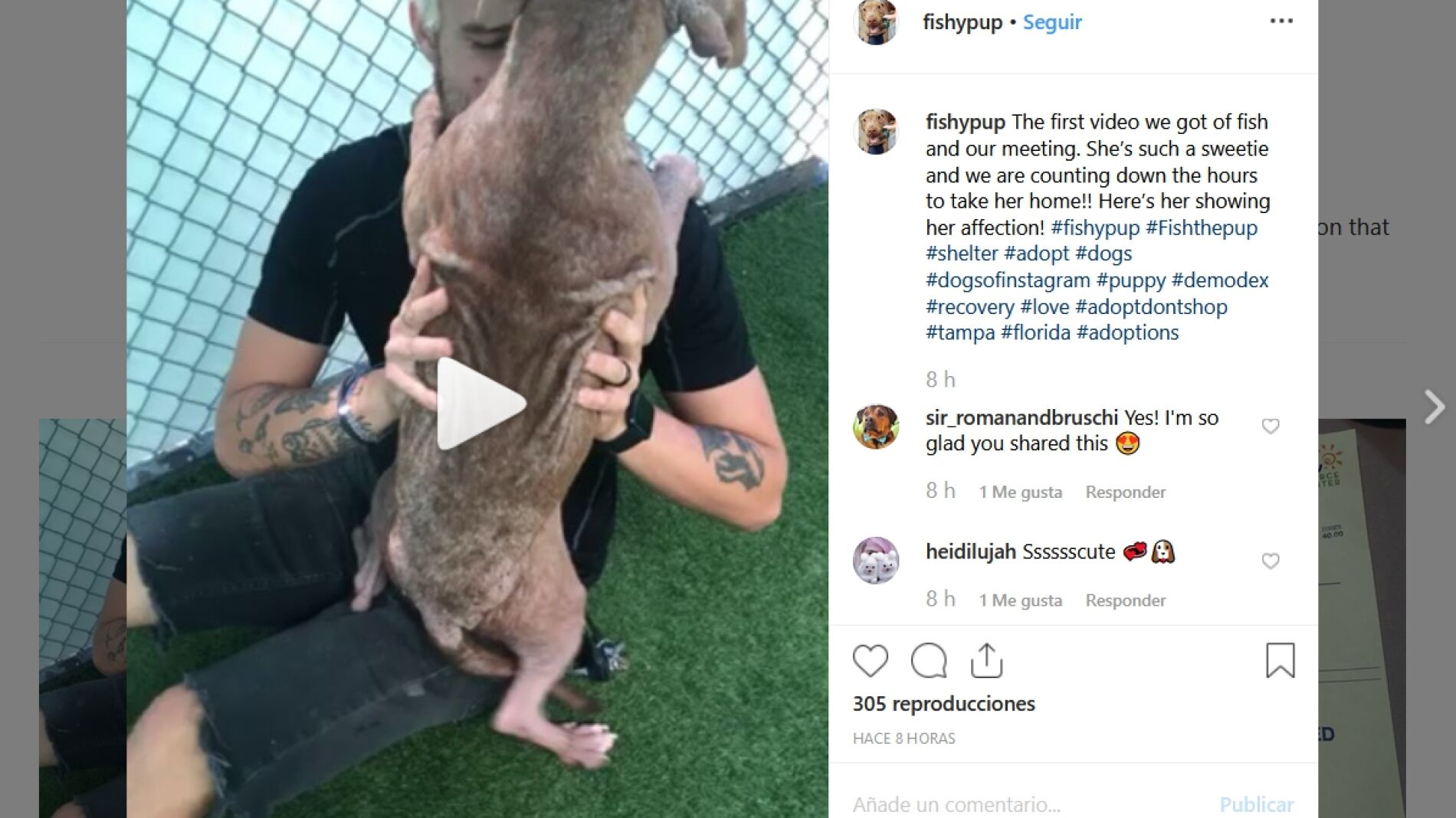 Fishy abrazando a su nuevo due&ntilde;o