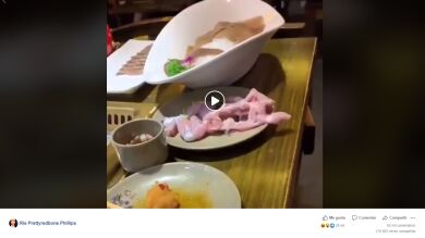 El imposible vídeo que te dejará loco: un trozo de pollo se empieza a mover solo
