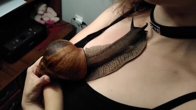 VÍDEO: Una mujer tiene un caracol gigante como mascota y deja que se arrastre por todo su cuerpo