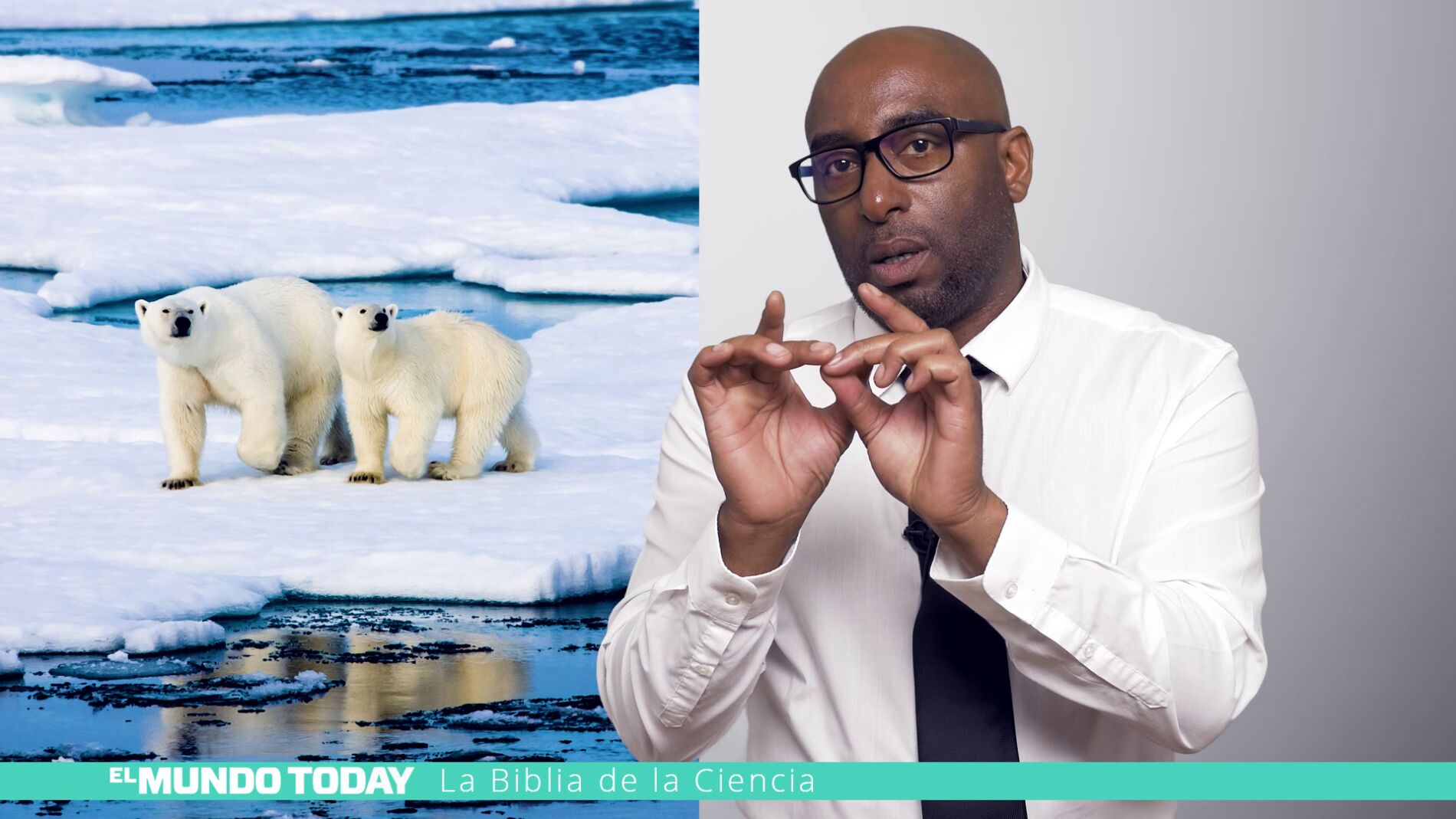 Causante del deshielo del &Aacute;rtico