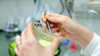 ¿Qué sustancia química domina tu personalidad?