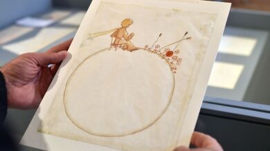 ¿Qué personaje del Principito eres?