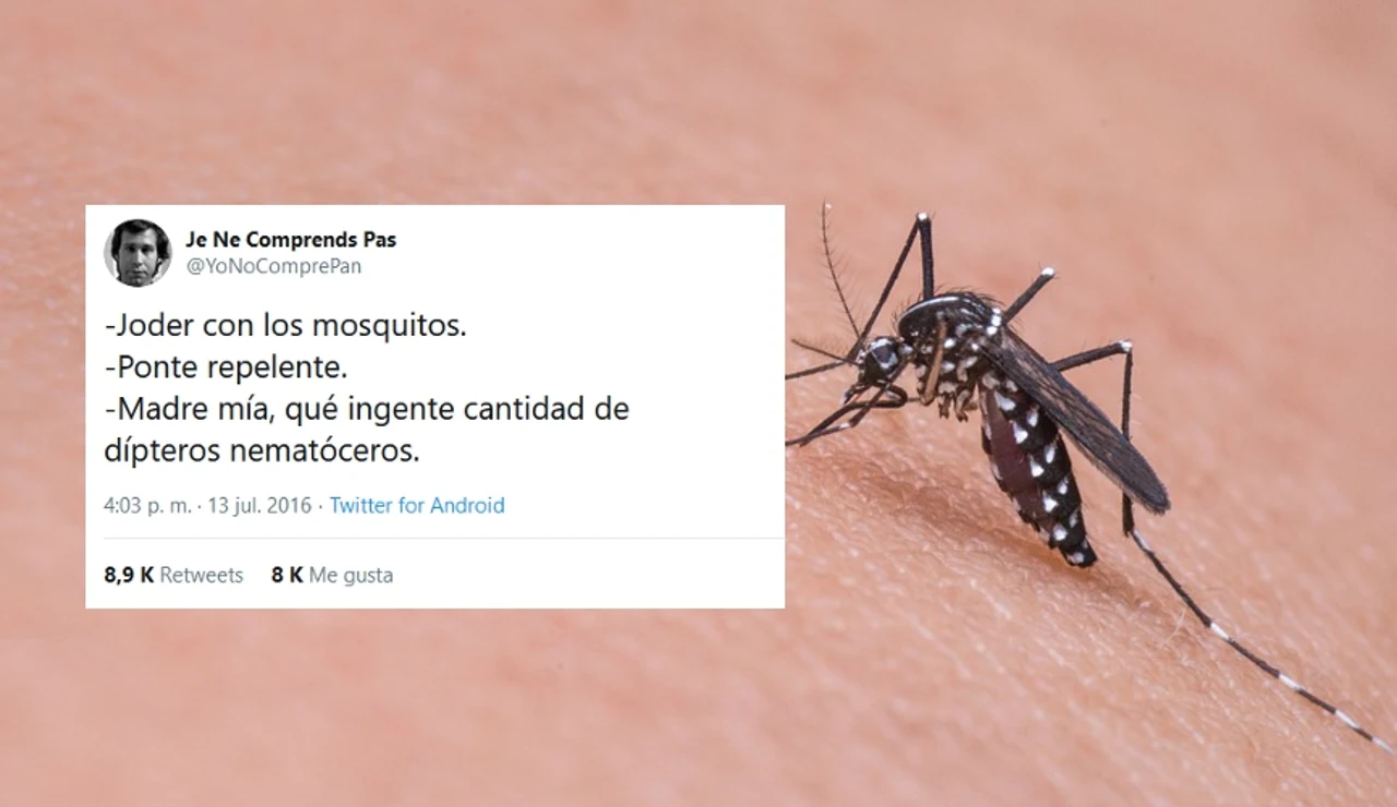 Tuits sobre mosquitos