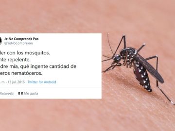 Tuits sobre mosquitos