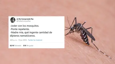 Los mejores chistes y tuits sobre mosquitos Los mejores chistes y tuits sobre mosquitos