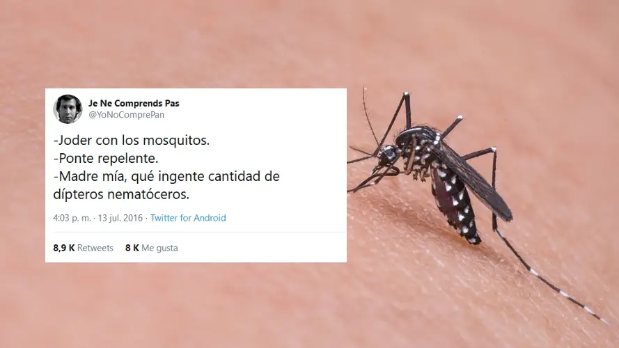 Tuits sobre mosquitos