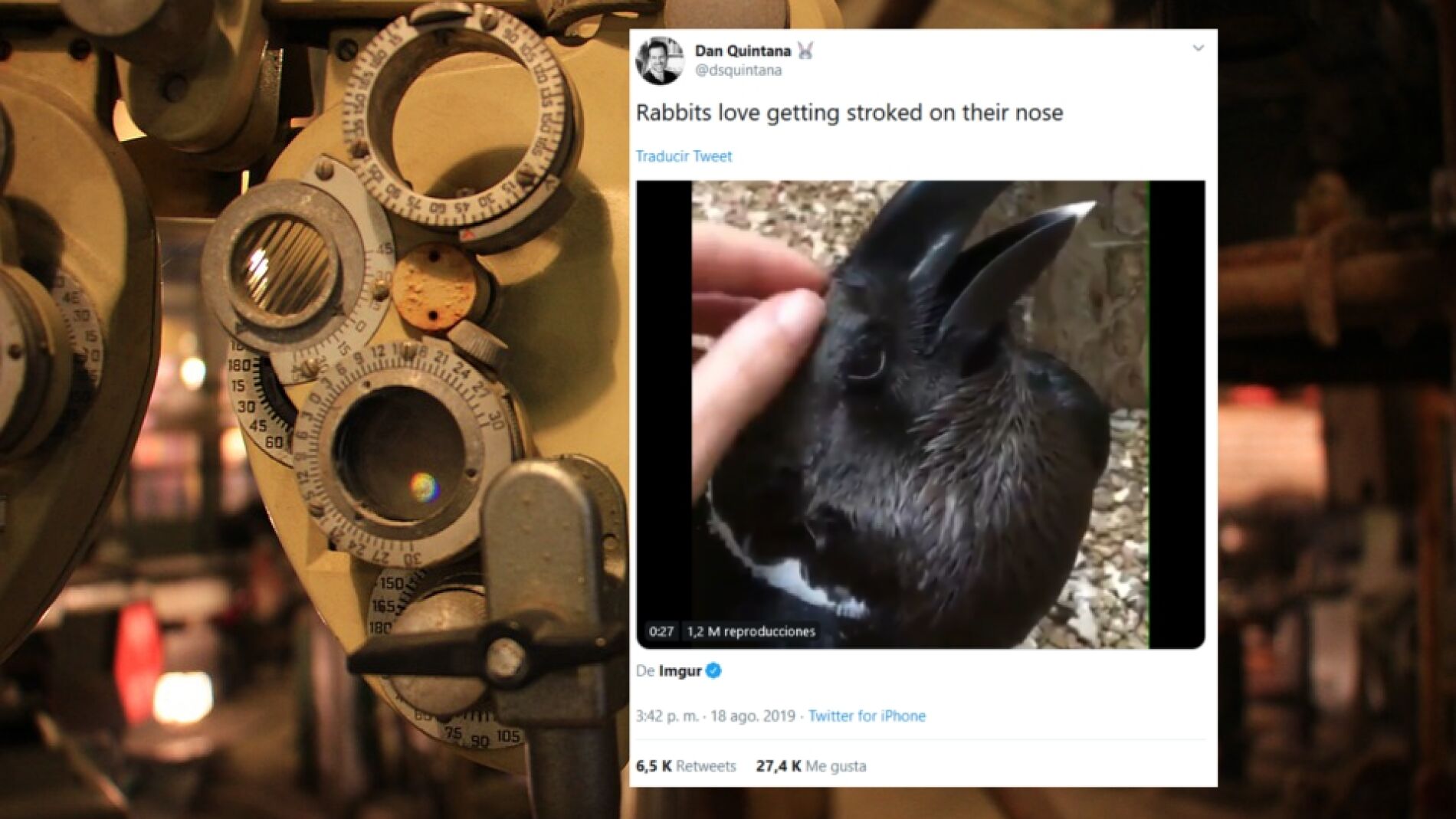 &iquest;Es un conejo o un cuervo?