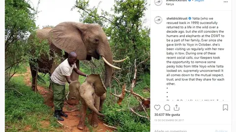 Yatta y su hijo Yolo Yatta y su hijo Yolo