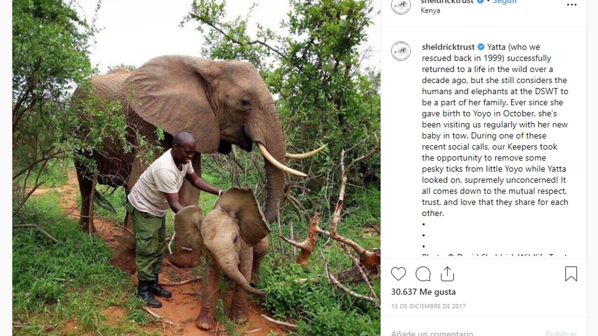 Yatta y su hijo Yolo