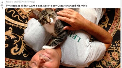 8 personas que han terminado amando a las mascotas que no querían tener